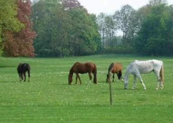 foto di Cottage With Tennis Court Barvaux-Condroz