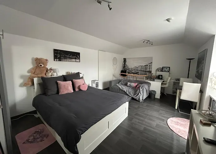 La Vie Est Belle Chambre D Hote Verviers photo