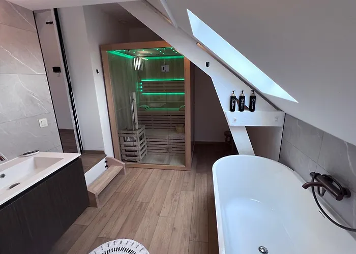 Gite Saphir - Sauna - Pairi Daiza 8 Min - Triplex photo