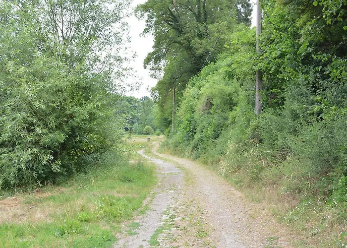 Aux Chants Des Oiseaux Pailhe fotorgafie